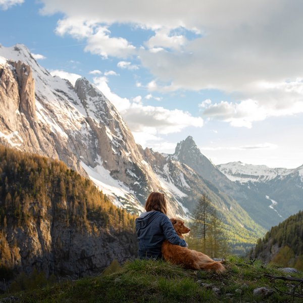 Hotel Sonnenhof Person mit Hund sitzt auf Hügel vor schneebedeckten Bergen bei Sonnenuntergang