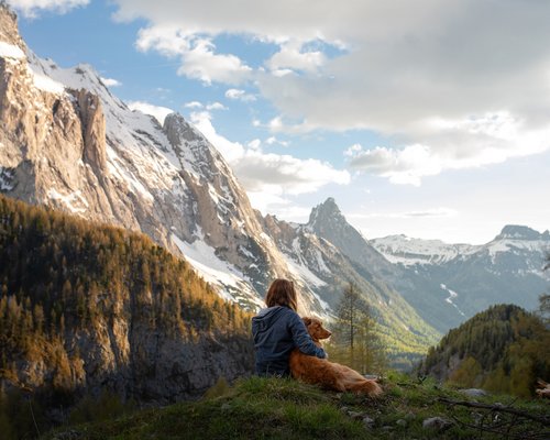 Hotel Sonnenhof Person mit Hund sitzt auf Hügel vor schneebedeckten Bergen bei Sonnenuntergang