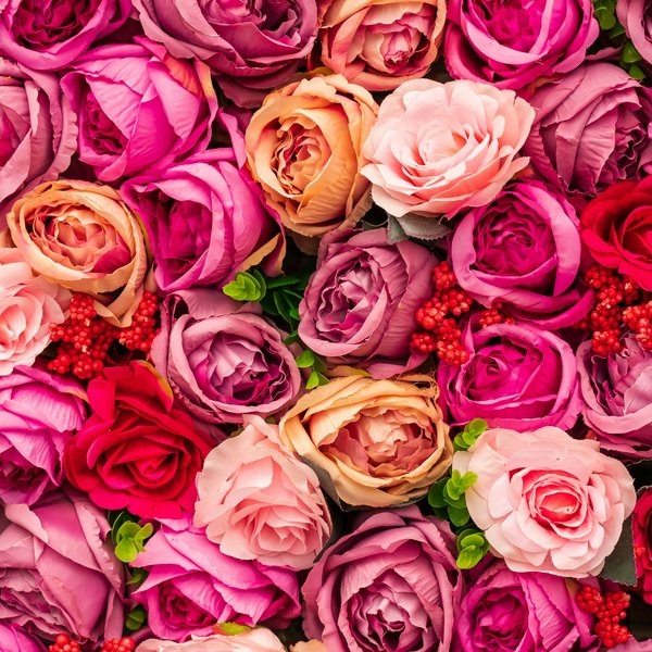 Hotel Sonnenhof Bunte Rosen in verschiedenen Rosatönen und einigen roten Beeren