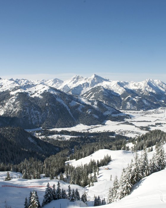 Hotel Sonnenhof Schneebedeckte Alpen mit Tannen und Seilbahn unter klarem blauem Himmel