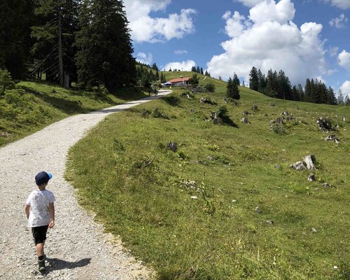 Hotel Sonnenhof Kind wandert auf einem Weg durch eine grüne Berglandschaft bei sonnigem Wetter