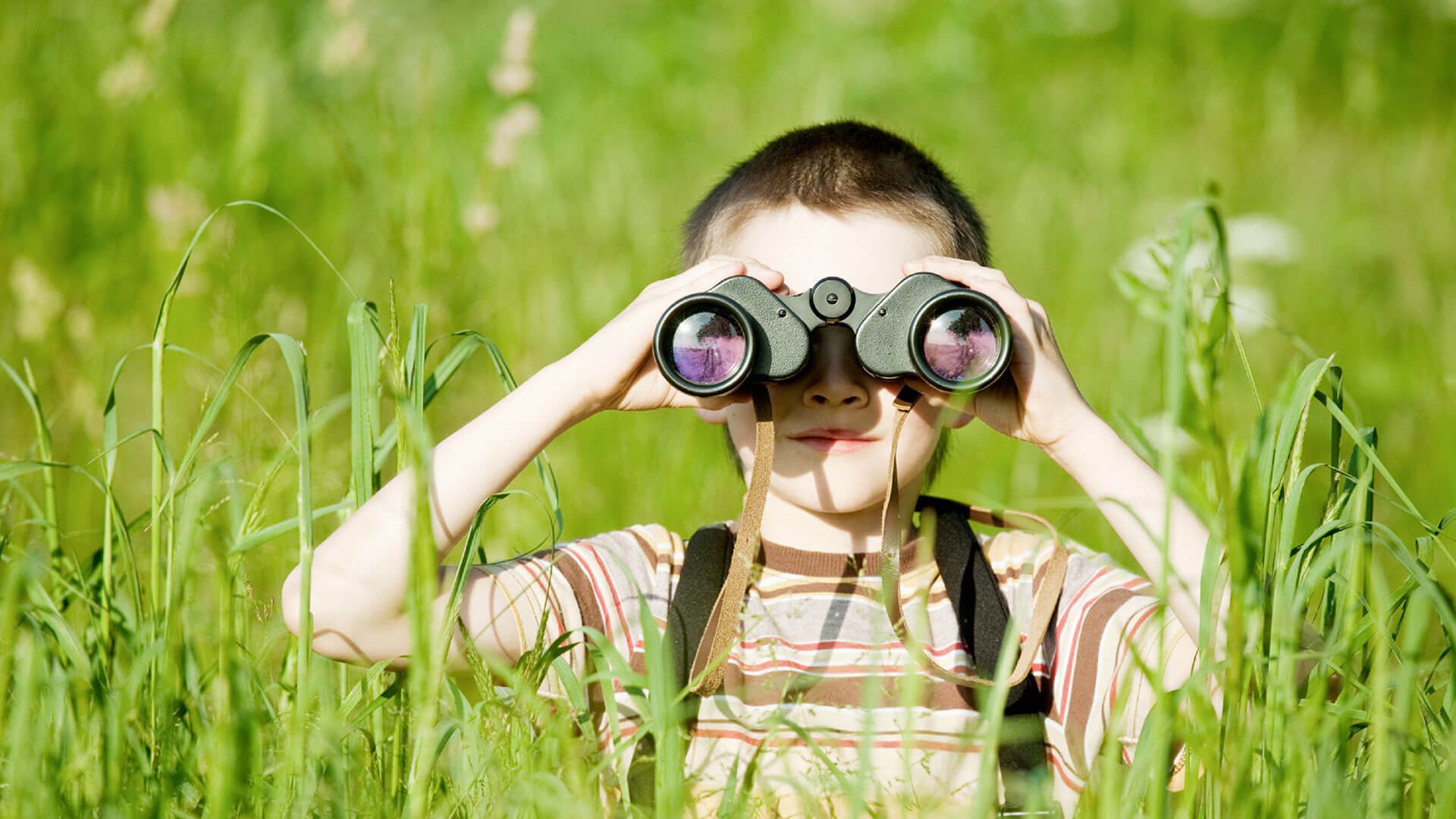 Hotel Sonnenhof Kind mit Fernglas schaut durch hohes Gras auf grüner Wiese