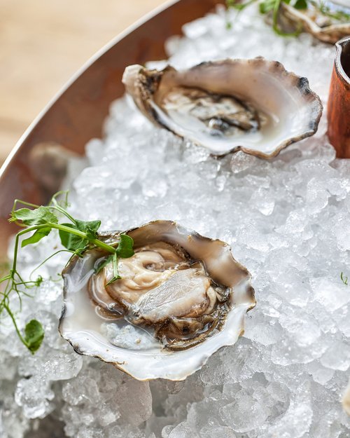 Hotel Sonnenhof Fresh oysters on ice garnished with some greens
