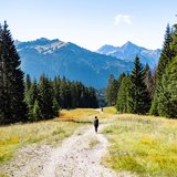 Hotel Sonnenhof Frau wandert auf Schotterweg durch Bergwiese mit Tannen und Bergen im Hintergrund