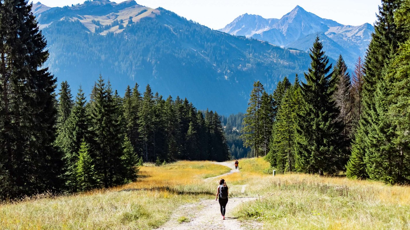 Hotel Sonnenhof Frau wandert auf Schotterweg durch Bergwiese mit Tannen und Bergen im Hintergrund