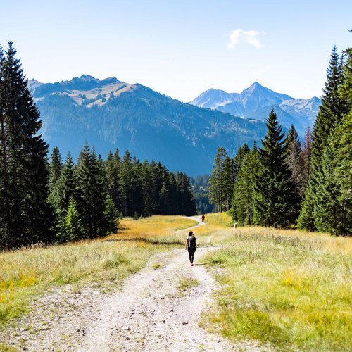 Hotel Sonnenhof Woman hiking on gravel path through mountain meadow with pine trees and mountains