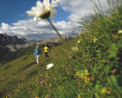Hotel Sonnenhof Wanderer auf blumenreicher Almwiese mit Bergpanorama und blauem Himmel