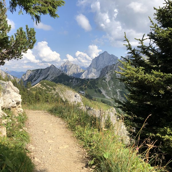 Hotel Sonnenhof Wanderweg in den Alpen mit Blick auf Berge und grünen Tannen