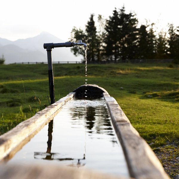 Hotel Sonnenhof Wasser tropft aus einem Metallhahn in einen Holzwassergraben auf der Wiese