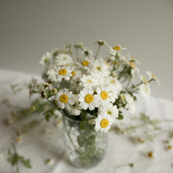 Hotel Sonnenhof Glasvase mit weißen Gänseblümchen auf weißem Tuch