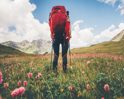 Hotel Sonnenhof Wanderer mit rotem Rucksack in einem blühenden Tal vor Bergen