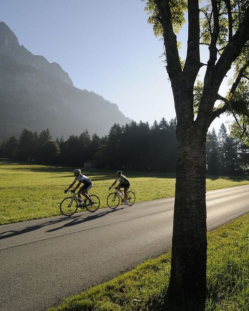 Hotel Sonnenhof Zwei Radfahrer auf Landstraße neben Baum mit Bergen und Wald im Hintergrund