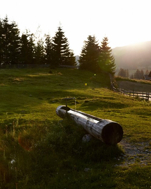 Hotel Sonnenhof Holzbrunnen mit fließendem Wasser auf einer grünen Wiese bei Sonnenuntergang